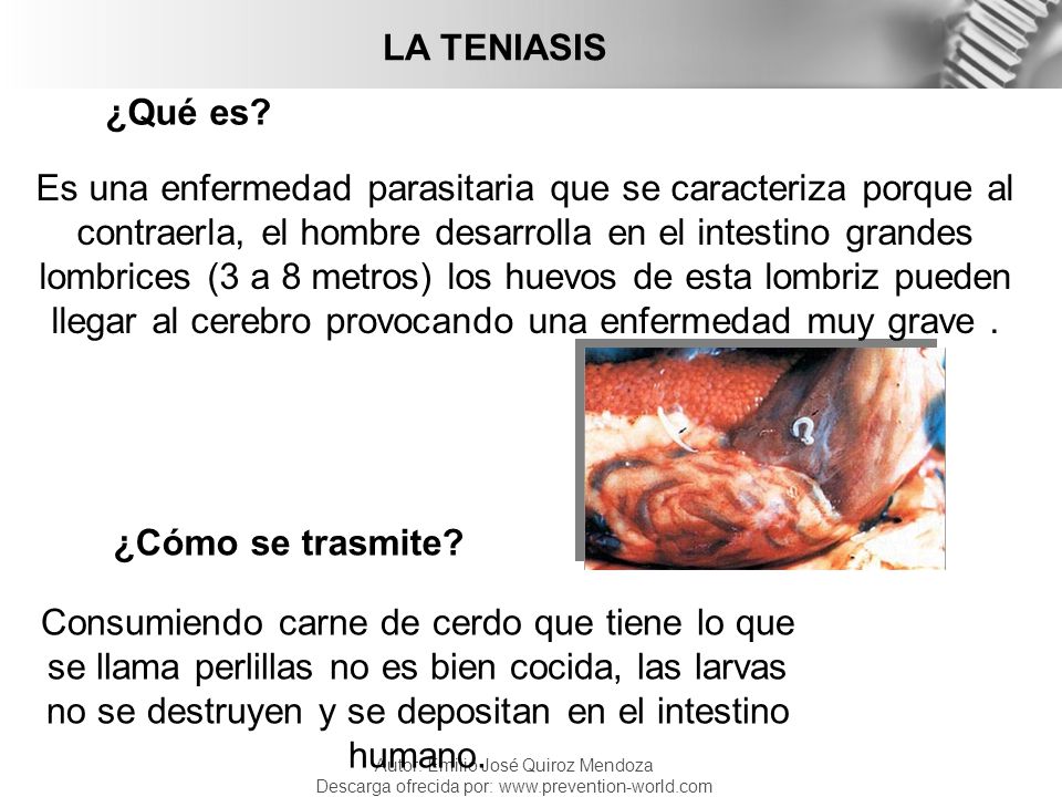 como se transmite la teniasis